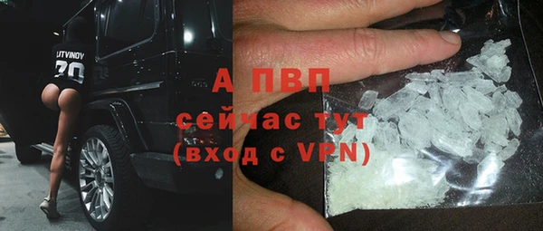 бошки Магас