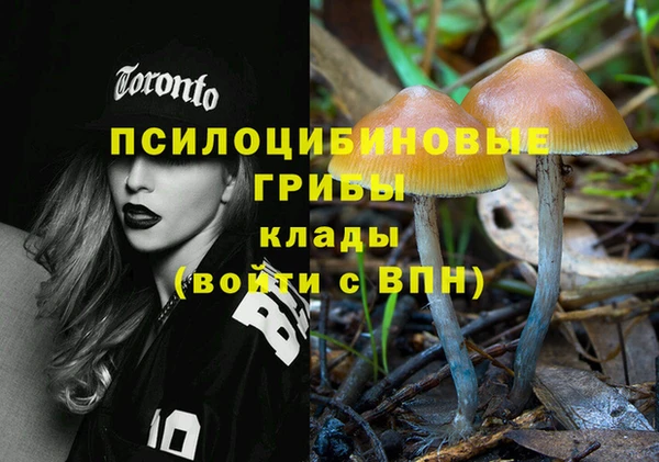 бошки Магас