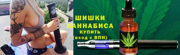 дживик Майский