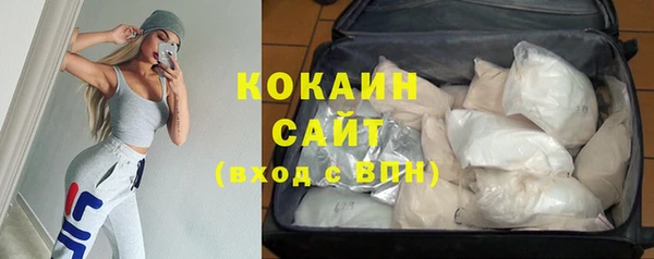 дживик Майский
