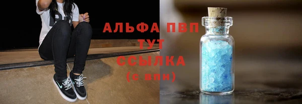 дживик Майский
