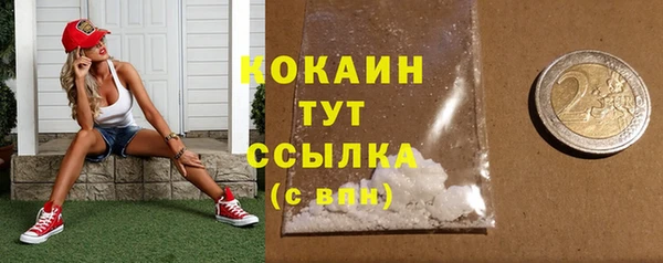 дживик Майский