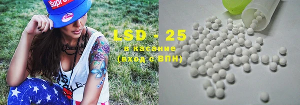 дживик Майский