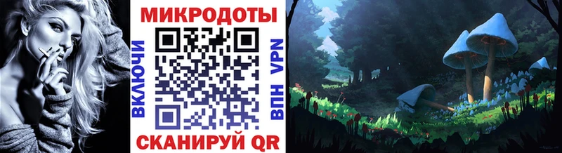 Купить где  Бобров  Галлюциногенные грибы Psilocybine cubensis 